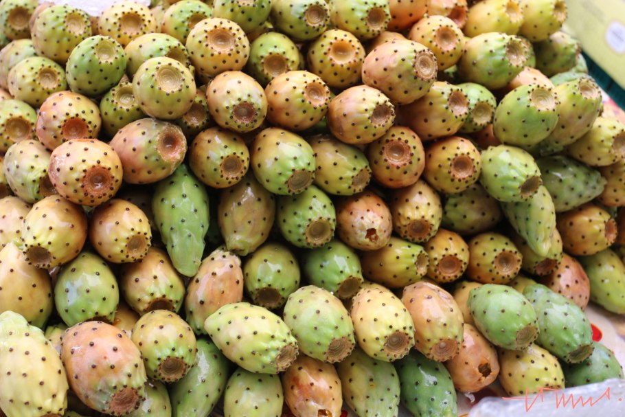 Тропические фрукты опунция