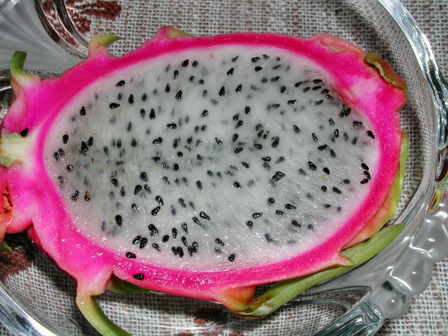 Опунция фрукт плоды