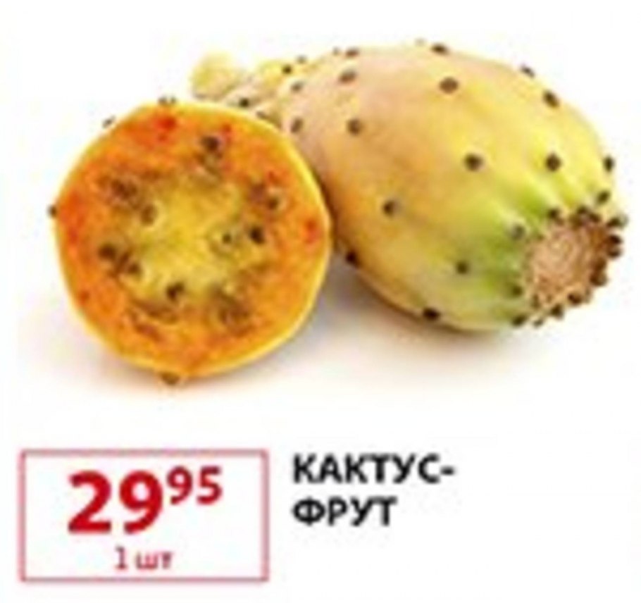 Съедобный Кактус опунция