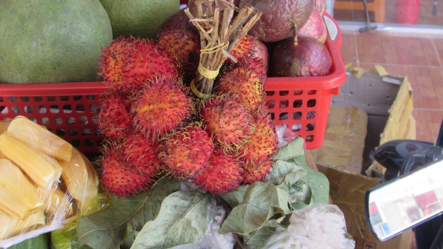 Фрукты Вьетнама