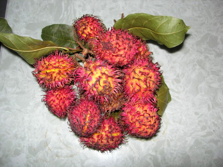 Фрукты Вьетнам Тайланд