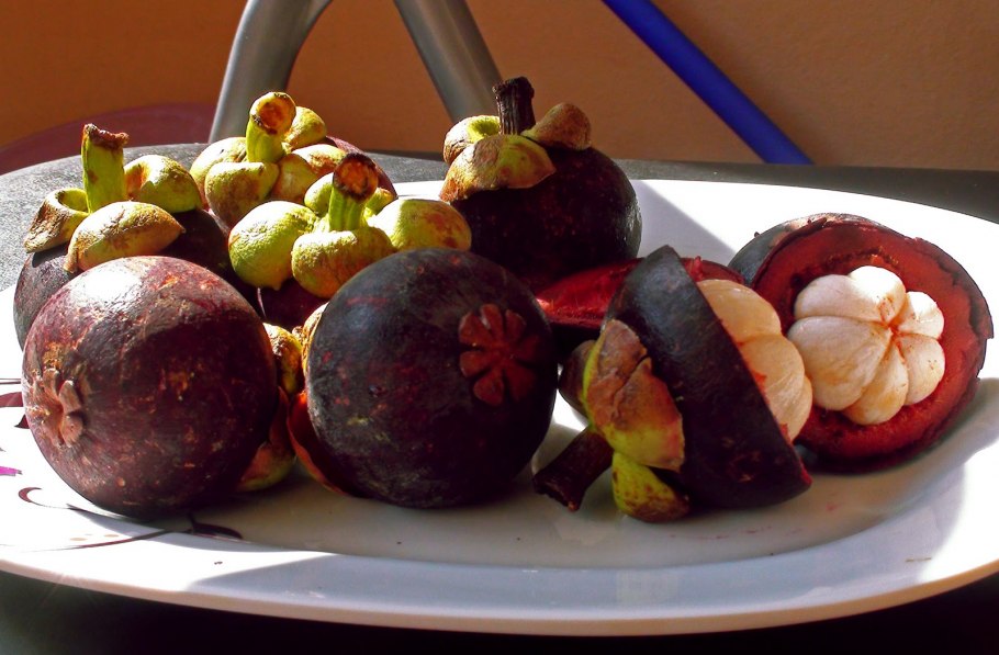 Мангостан мангустин