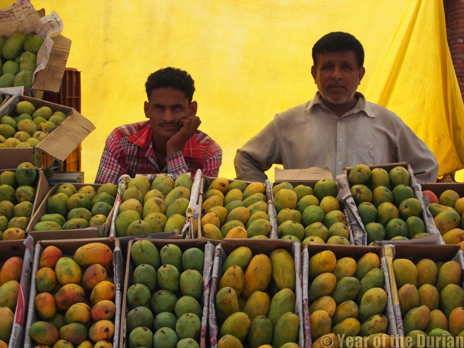 Манго индийское