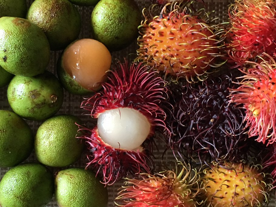 Тропические фрукты маракуйя личи папайя