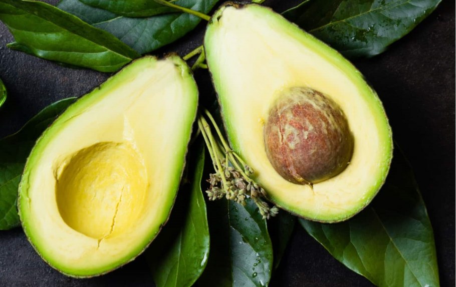 Саженец авокадо