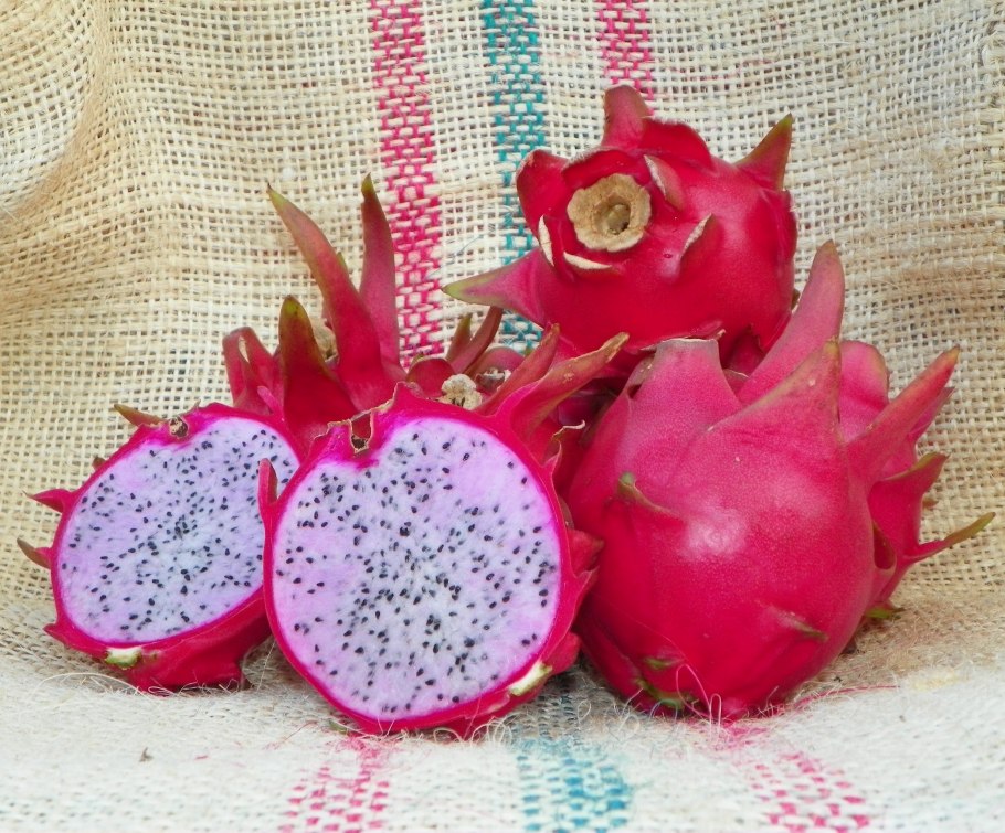 Драконий хвост фрукт