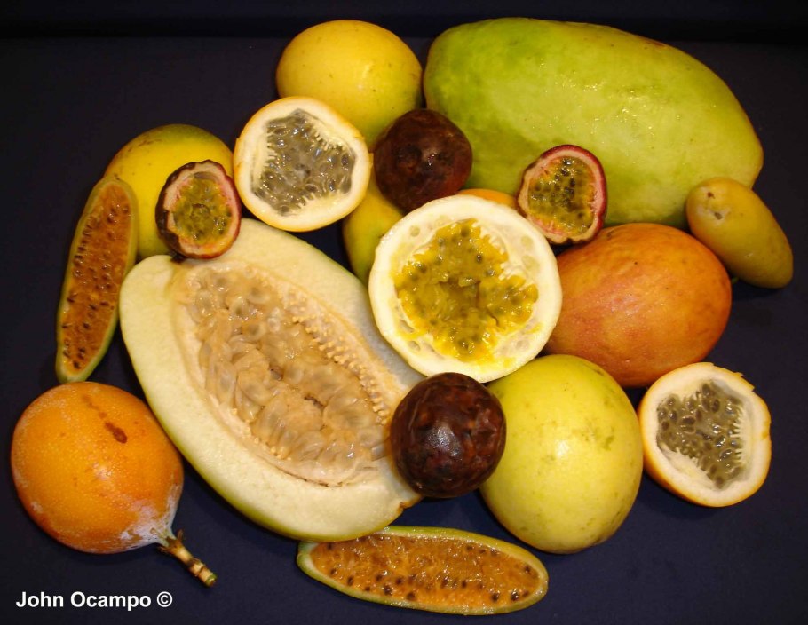 Маракуйя гранадилла