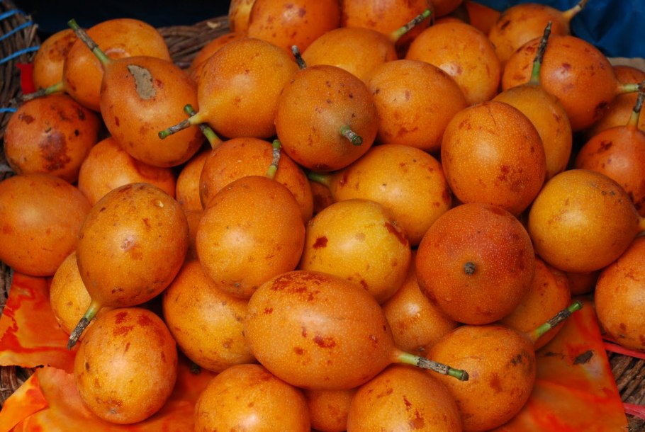 Гранадилла фрукт гранадилла