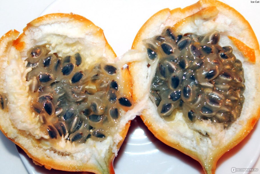 Пассифлора гранадилла