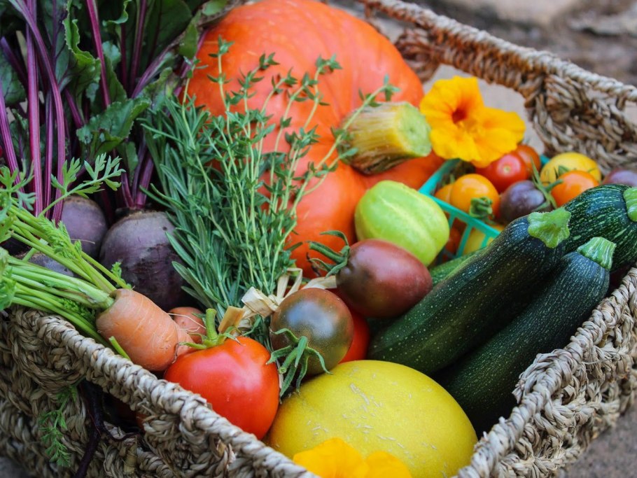 Овощные культуры