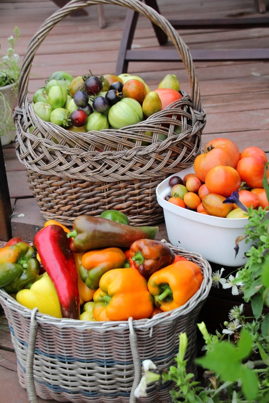 Корзина с овощами и фруктами