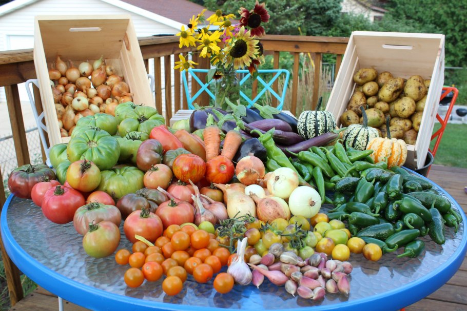 Овощи в саду