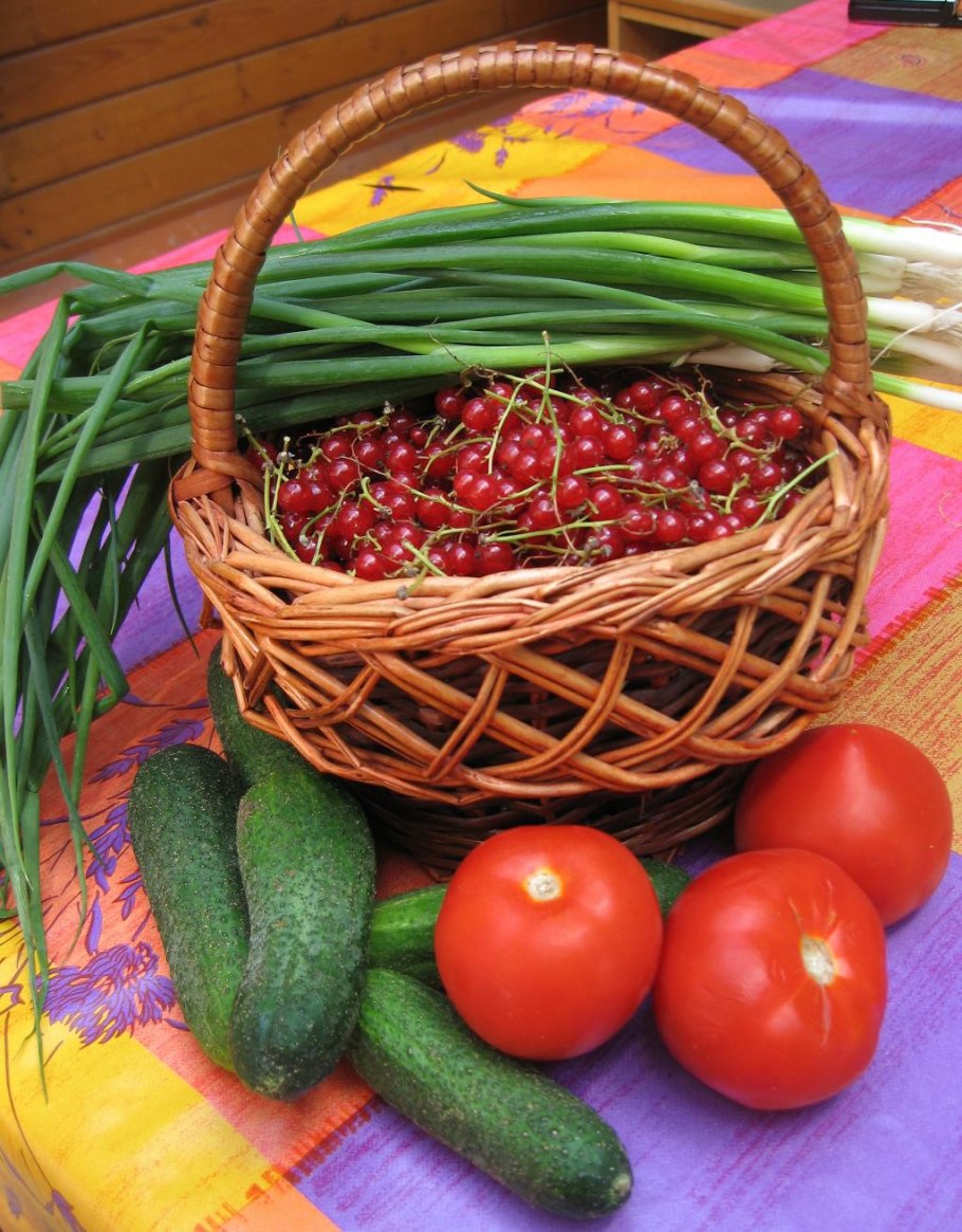 Овощи на даче