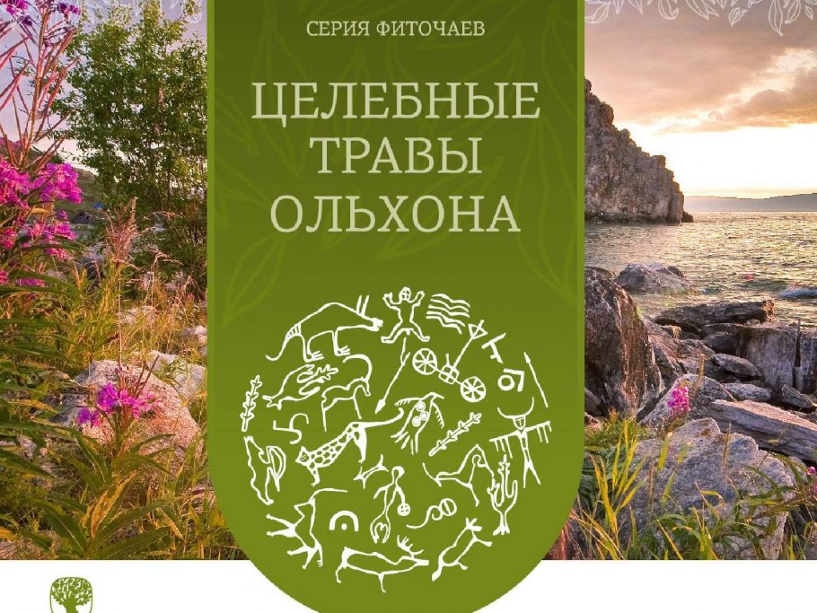 Брусника в Бурятии