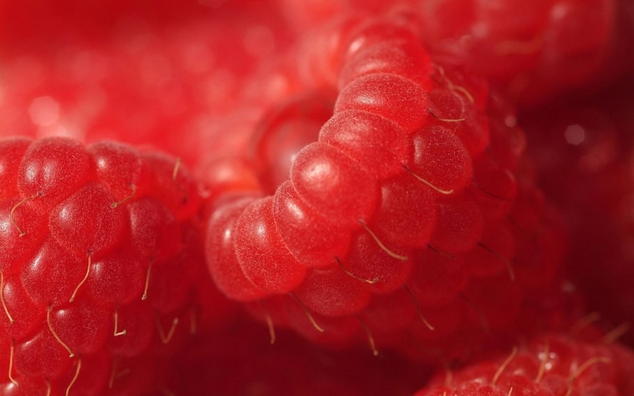 Клубника картинка