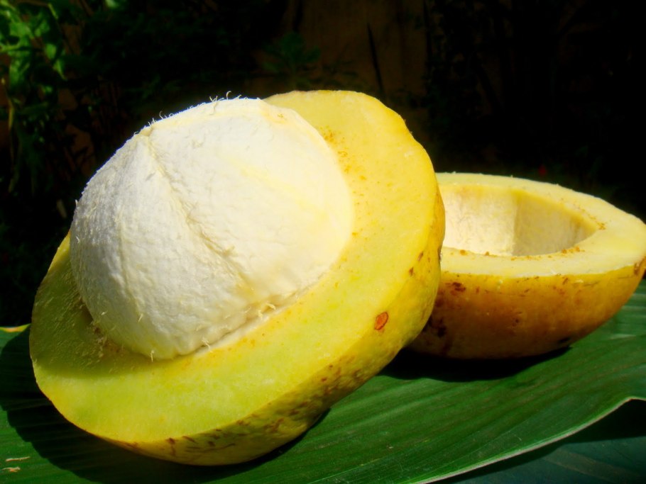 Бакури фрукт