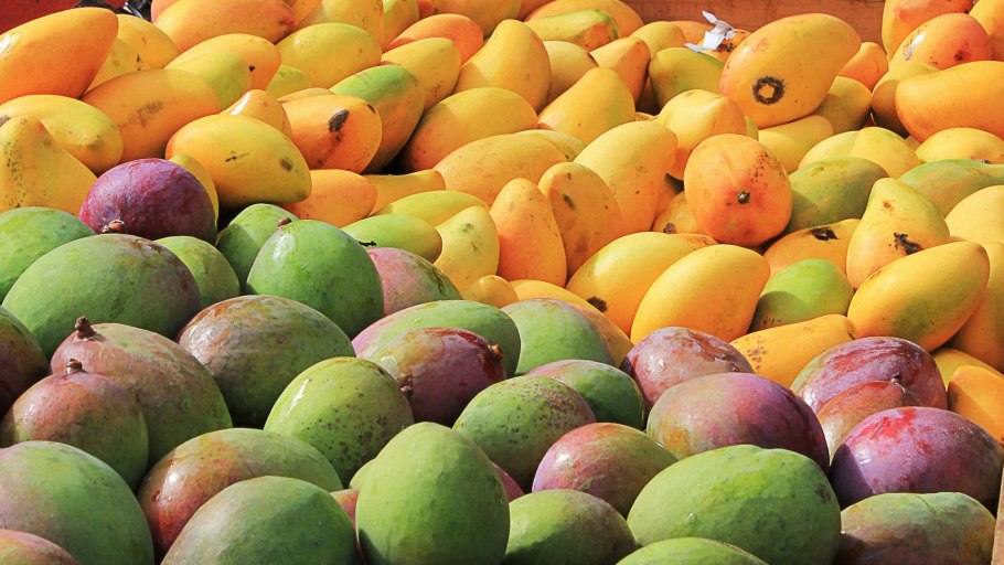 Манго Гаити