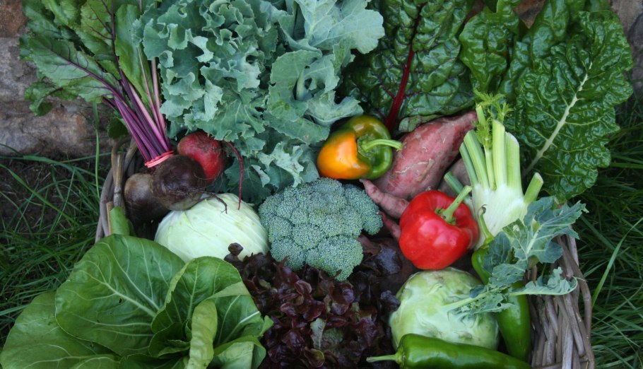 Овощи в земле