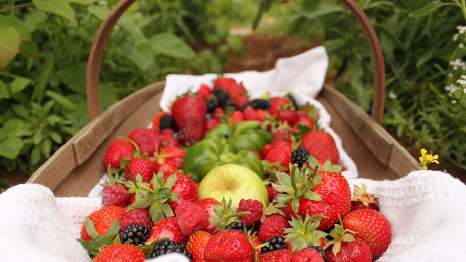 Лесные ягоды в корзине