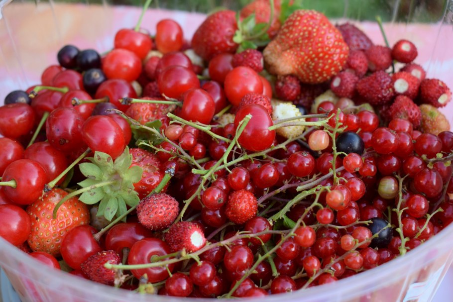 Культурные ягоды
