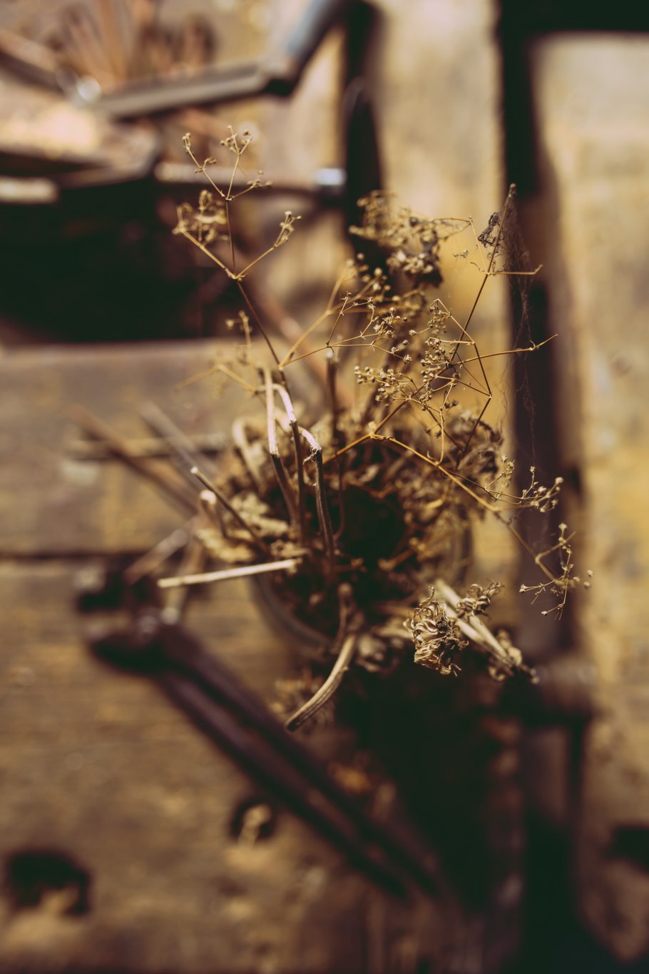 Красивая роза на книге