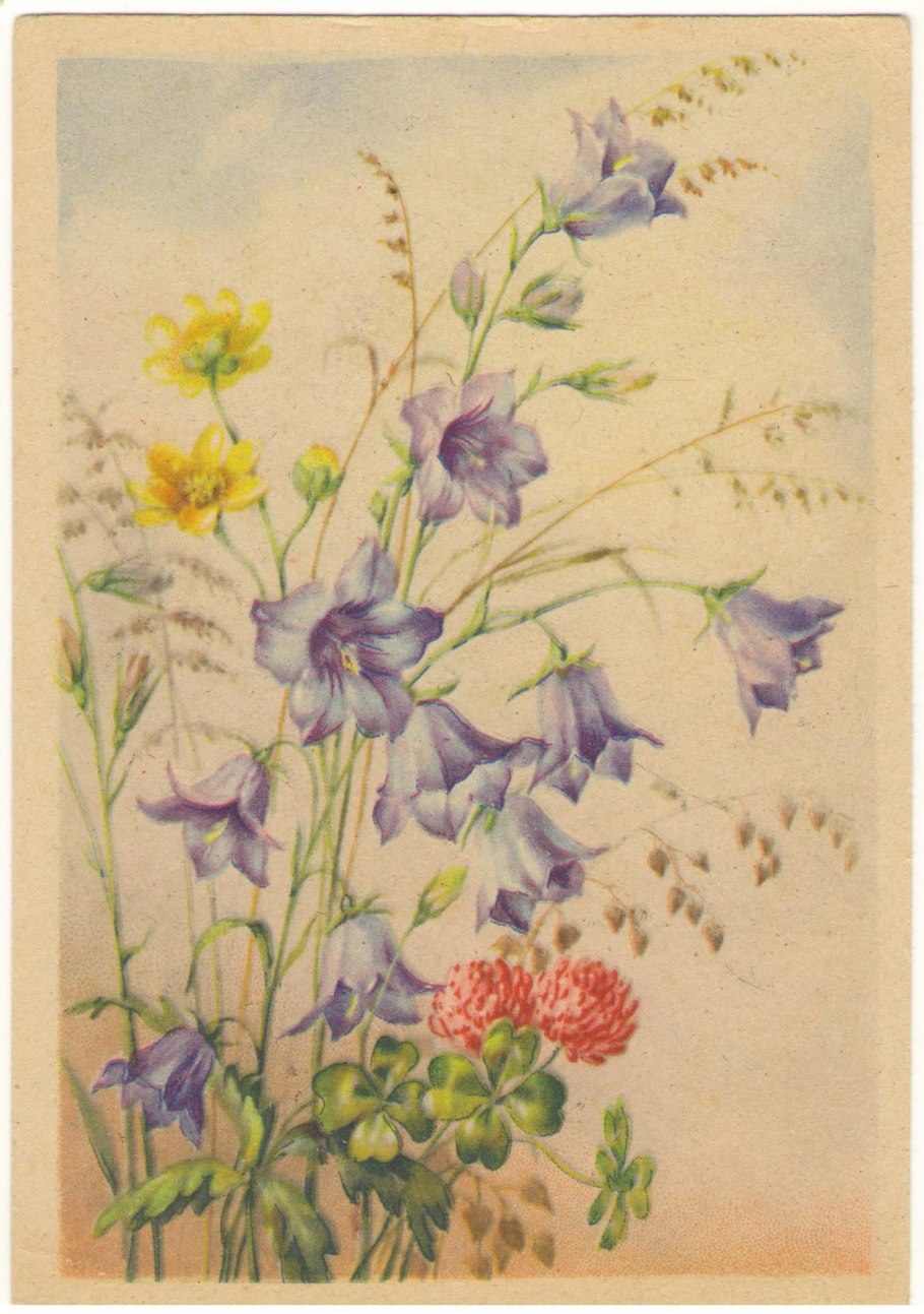 Голден Аутумн плющ