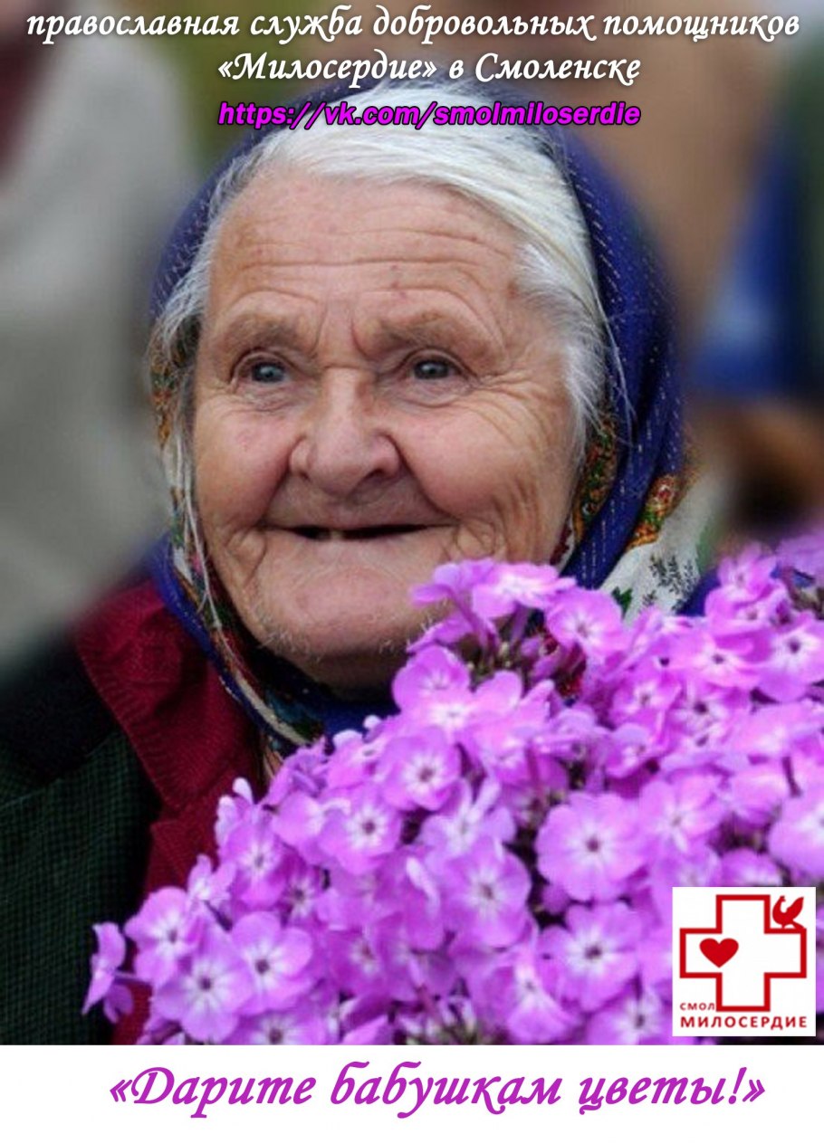 Ботанические иллюстрации красивых растений