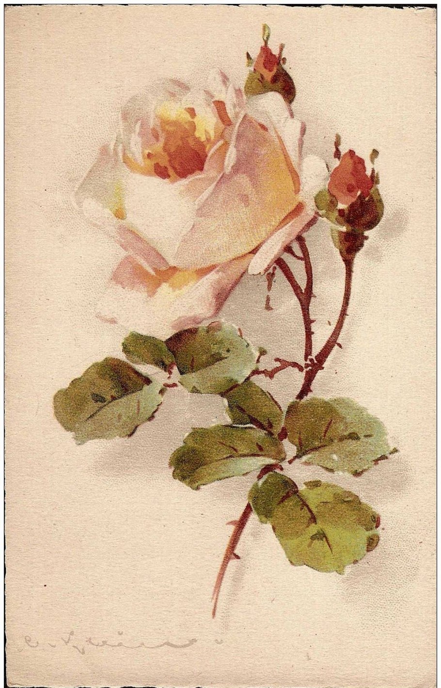 Эстетика засохших цветов