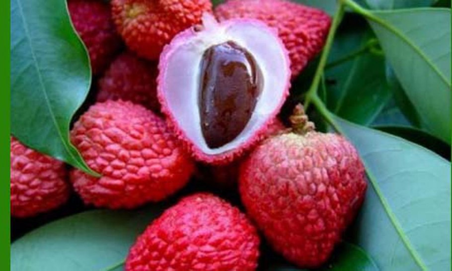 Китайский фрукт личи