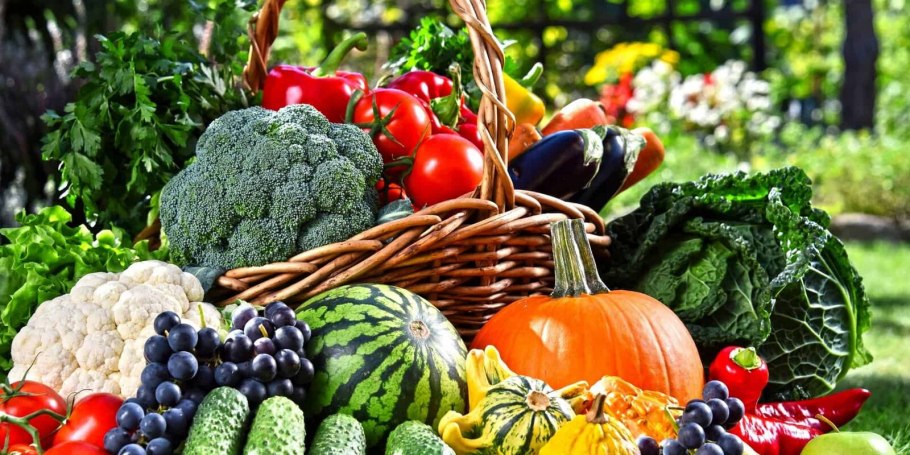 Овощи и фрукты