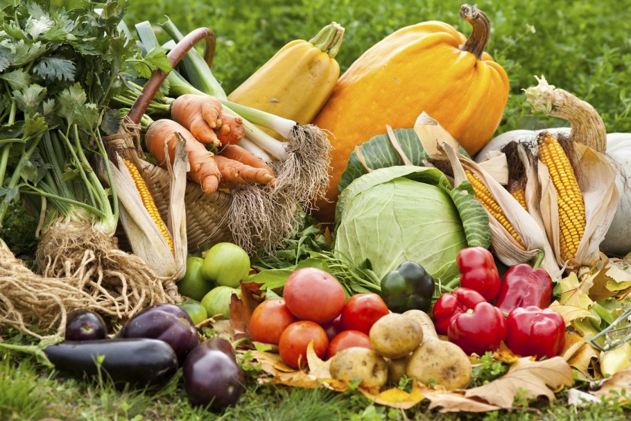 Урожай овощи и фрукты