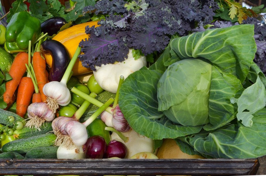Овощи, фрукты, ягоды