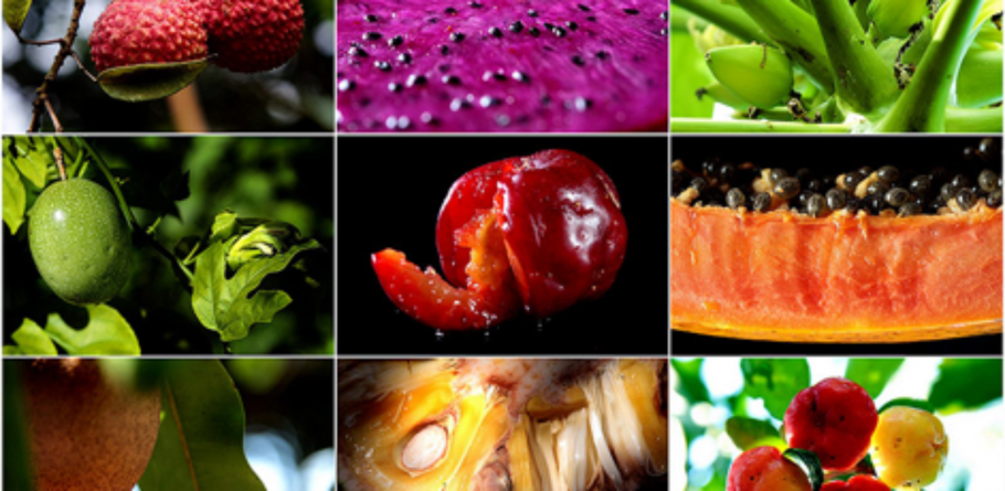 Дуриан фрукт