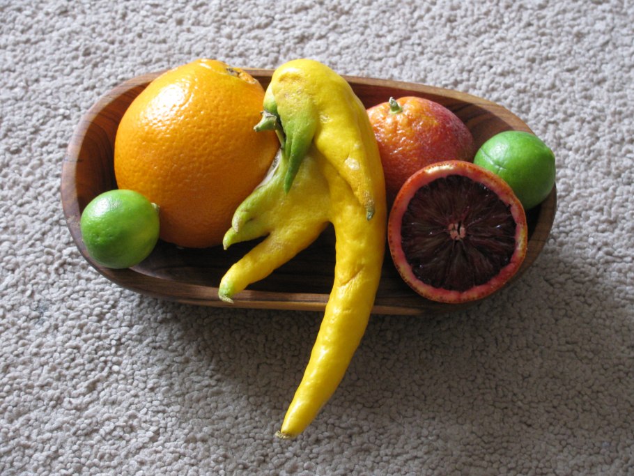 Самые необычные фрукты и овощи мира