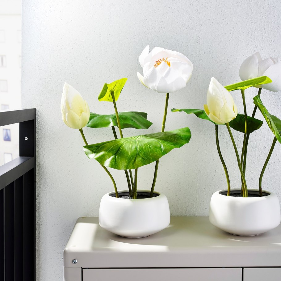 Fejka фейка искусственное растение