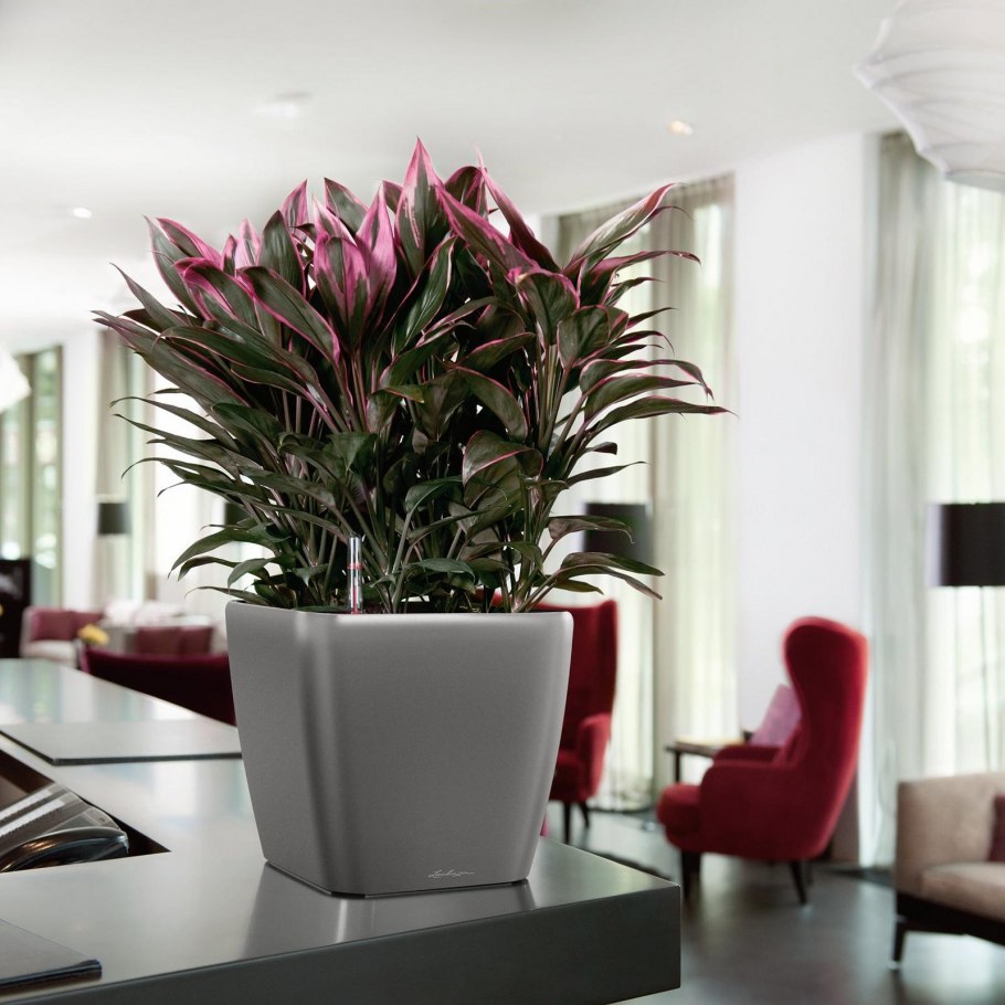 Кашпо Лечуза Квадро