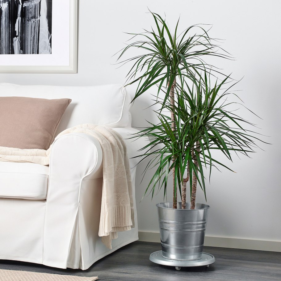 СОККЕР кашпо