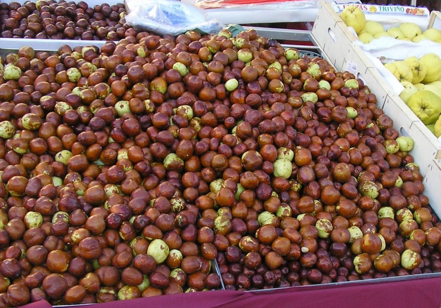 Унаби сирийский