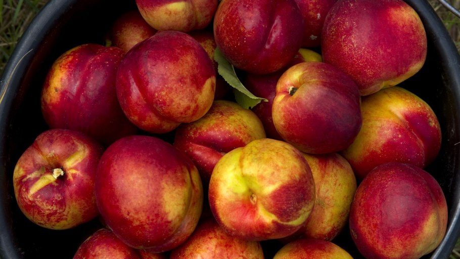 Торговля Крыма