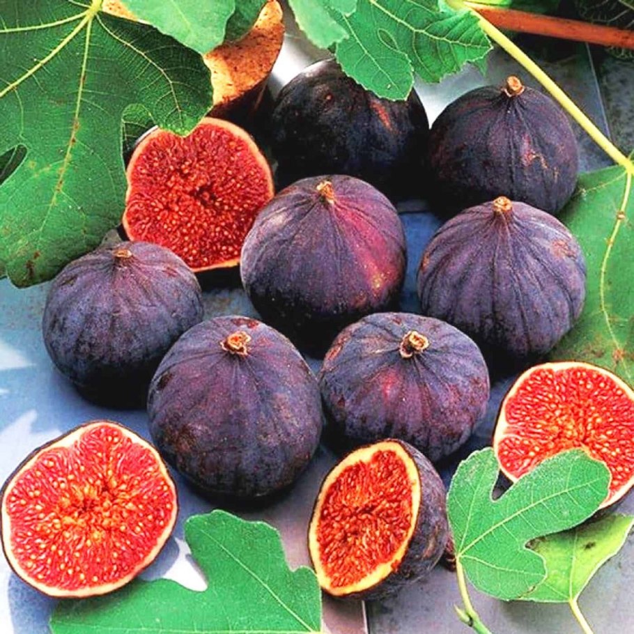 Персик нектарин Крымский