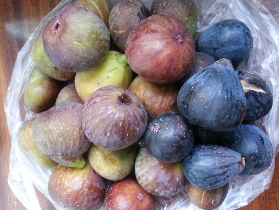 Киви в Крыму