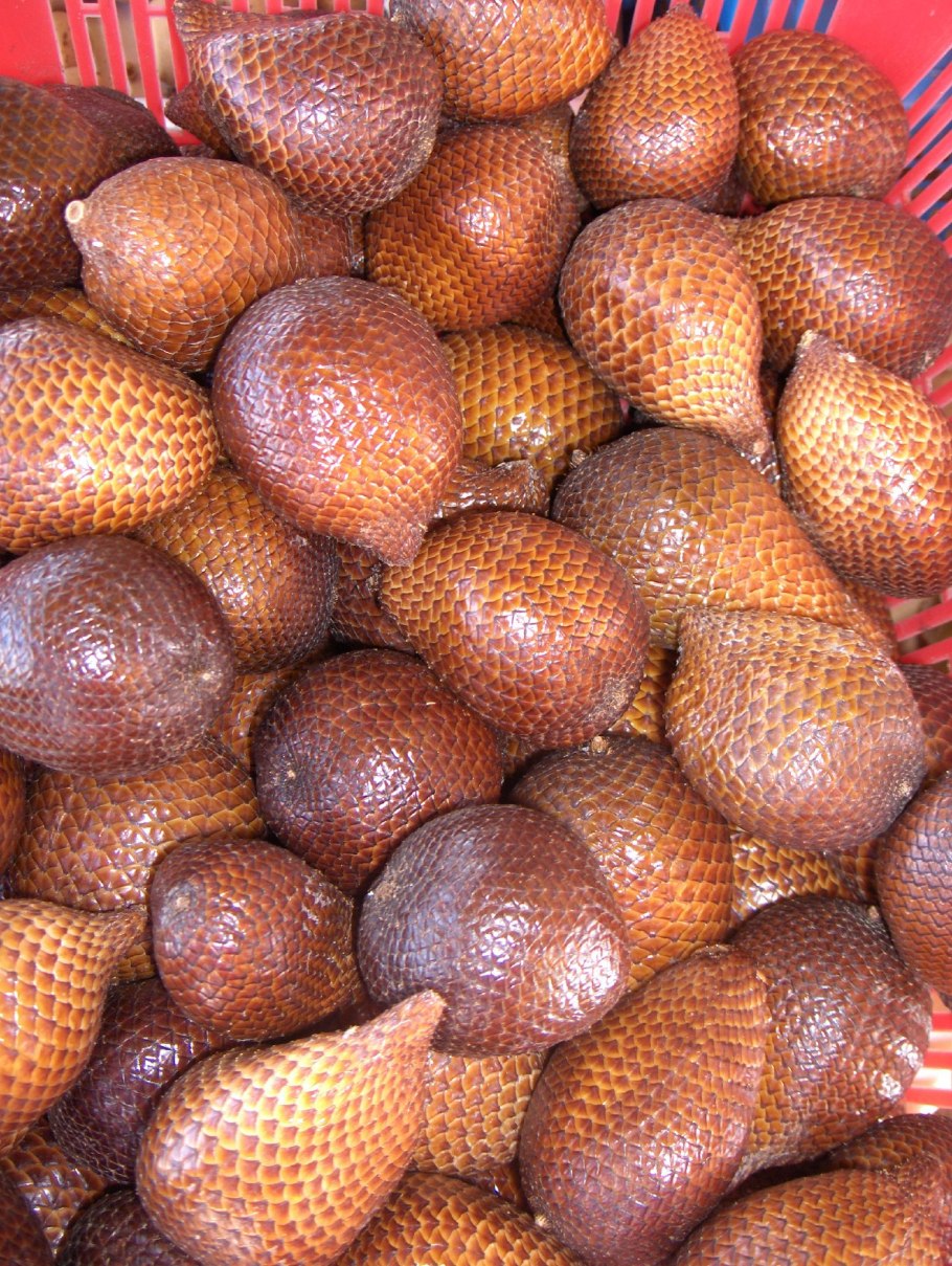 Салак Пальма