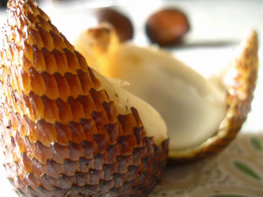 Змеиный фрукт сушеный