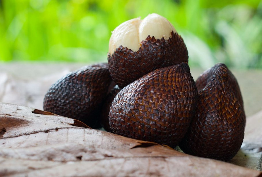 Салак фрукт Пальма