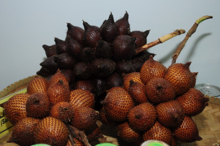 Экзотический разновидность салака