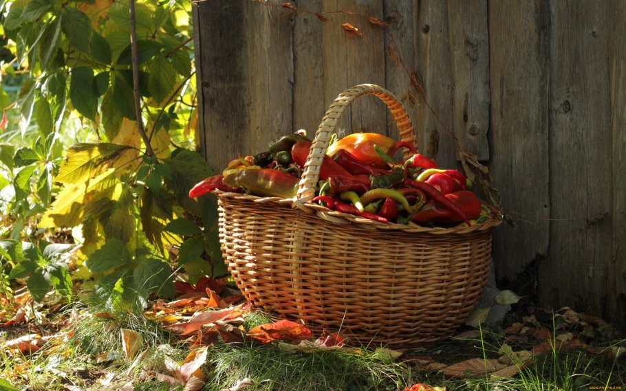 Осенняя корзинка с овощами