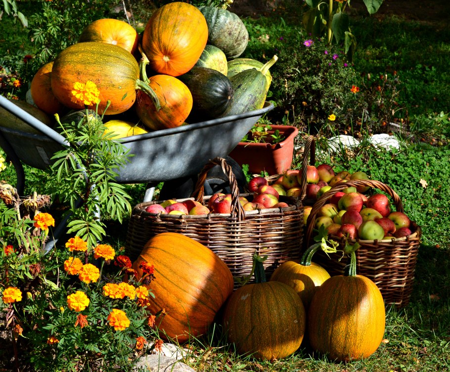 Красивый урожай