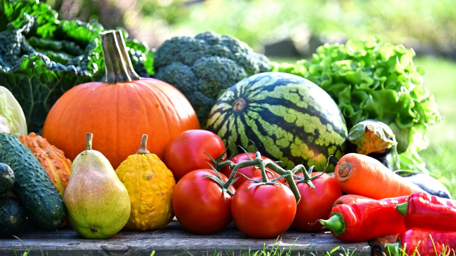 Урожай овощей и фруктов