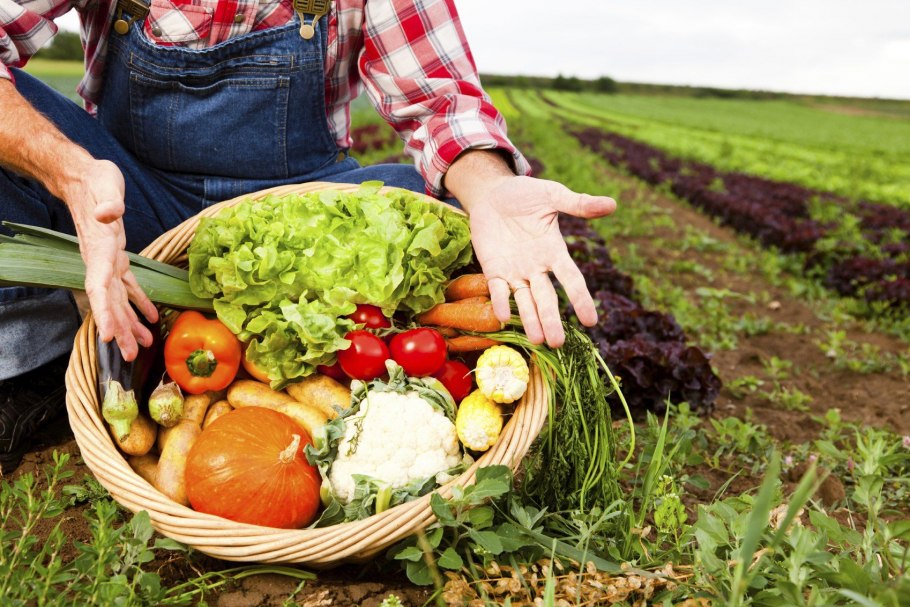 Сельское хозяйство фермер