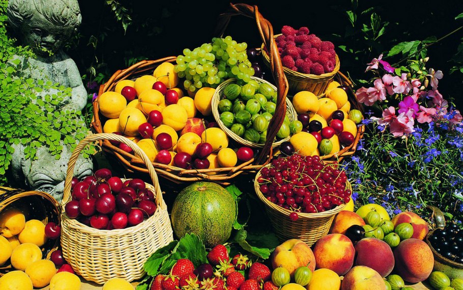 Изобилие фруктов и овощей